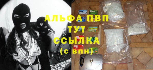 гашик Алексеевка